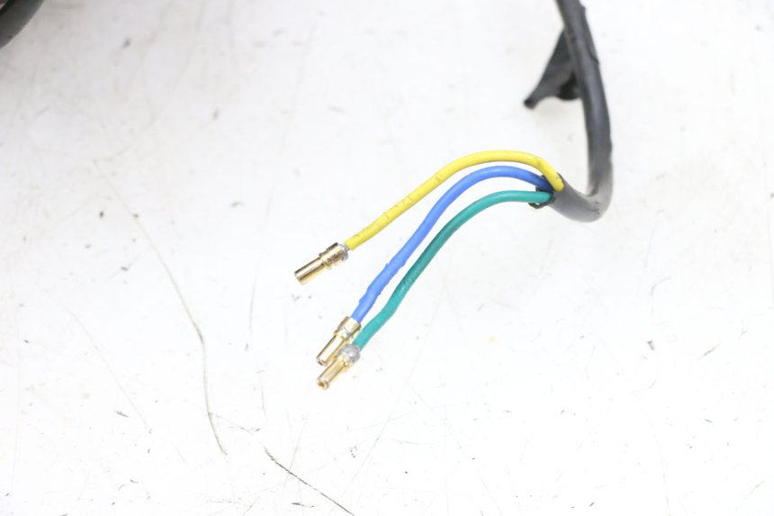 photo de RINCON DELANTERO Y NEUMÁTICO DUALTRON VICTOR LIMITED 1 - Primer plano de alta resolución