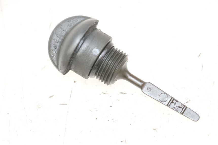 photo de MEDIDOR DE ACEITE DEL MOTOR PIAGGIO MP3 RL 250 (2006 - 2010) - Vista principal