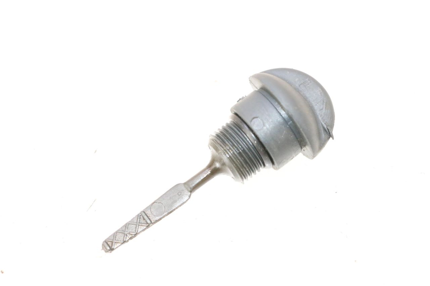 photo de MEDIDOR DE ACEITE DEL MOTOR PIAGGIO MP3 125 (2006 - 2014) - Vista principal