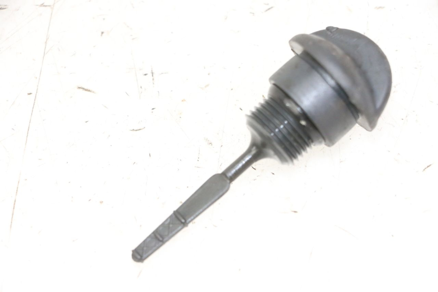 photo de NIVEL ACEITE MOTOR PIAGGIO VESPA GRANTURISMO 200 (2004 - 2005) - Vista principal