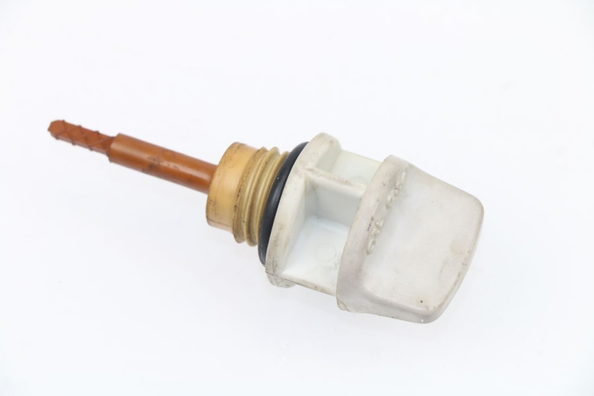 photo de NIVEL ACEITE MOTOR SYM GTS 125 (2005 - 2008) - Vista principal