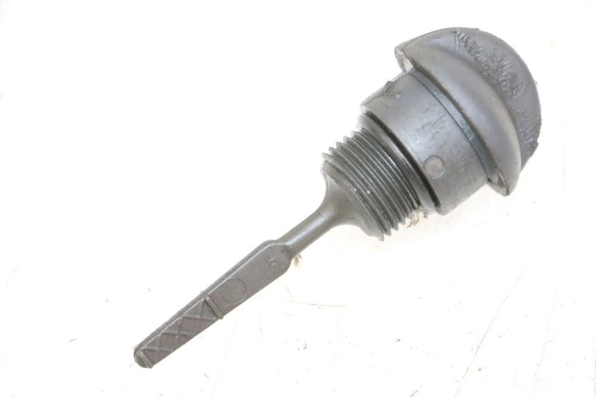 photo de MEDIDOR DE ACEITE DEL MOTOR PIAGGIO XEVO - X EVO 125 (2007 - 2017) - Vista principal