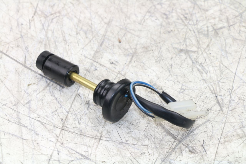 photo de INDICADOR DE NIVEL DE ACEITE TNT MOTOR ROMA 10' 2T 50 (2011 - 2018) - Zoom estado de uso