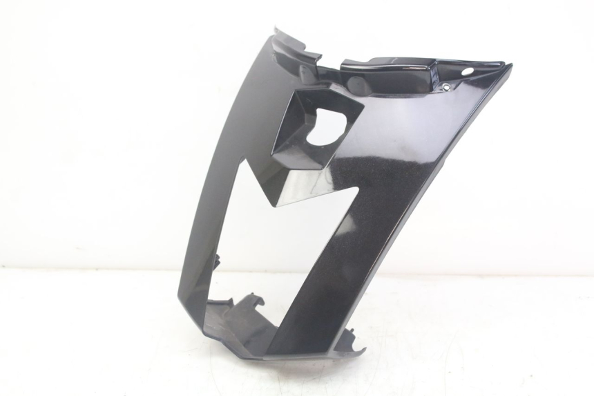 photo de CARENADO TRASERO CONEXION PEUGEOT GEOPOLIS RS 125 (2007 - 2009) - Vista principal