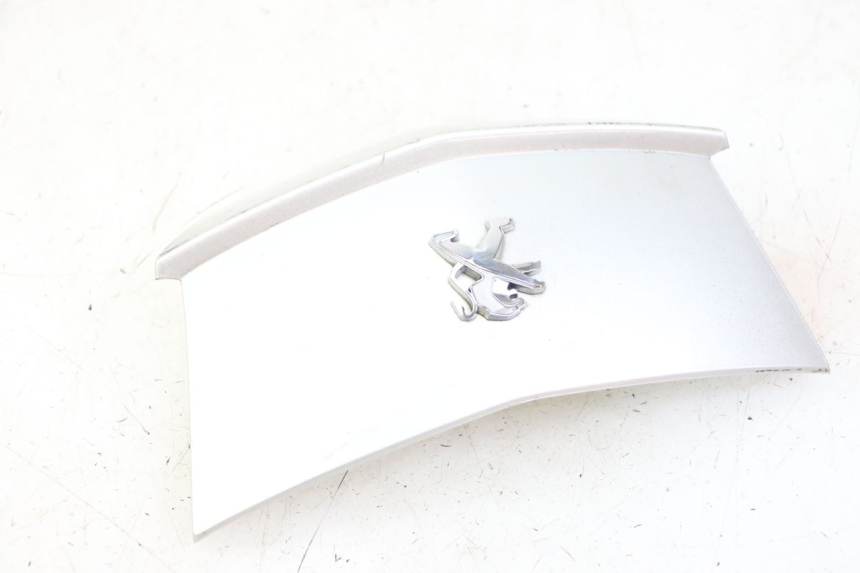 photo de UNIóN DE CARENADO TRASERO. PEUGEOT CITYSTAR 125 (2011 - 2017) - Zoom estado de uso