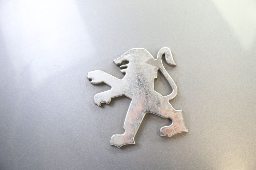 photo de CARENADO TRASERO CONEXION PEUGEOT SATELIS 250 (2006 - 2012) - Primer plano técnico