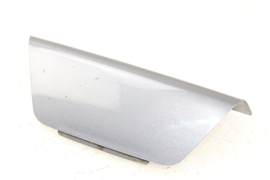 photo de CARENADO TRASERO CONEXION SUPERIOR DAELIM S2 125 (2006 - 2007) - Vista principal