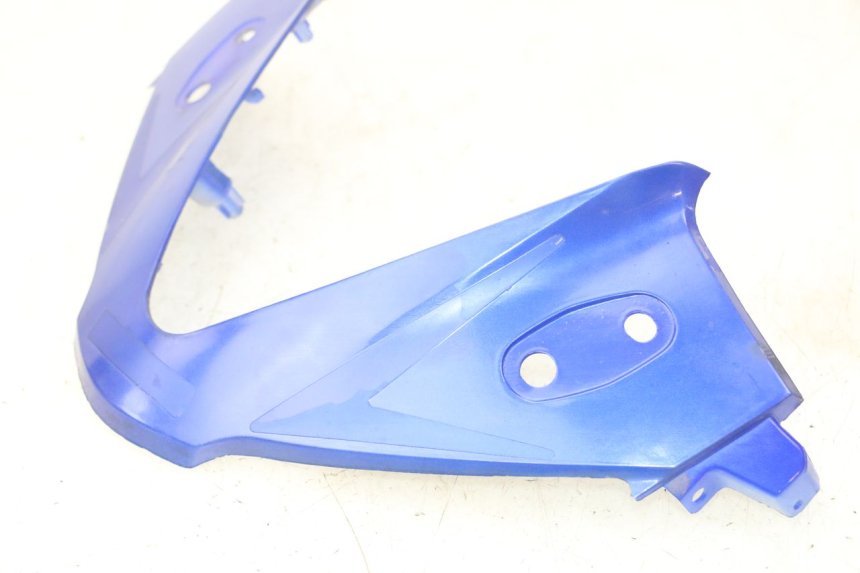 photo de CARENADO FRONTAL CONEXION STAHO FH 50 (2018 - 2019) - Marcados y referencias originales