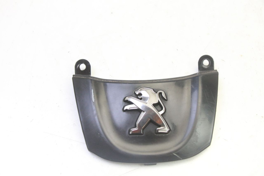 photo de CARENADO DELANTERO CONEXION PEUGEOT TWEET 4T 50 (2018 - 2022) - Vista principal