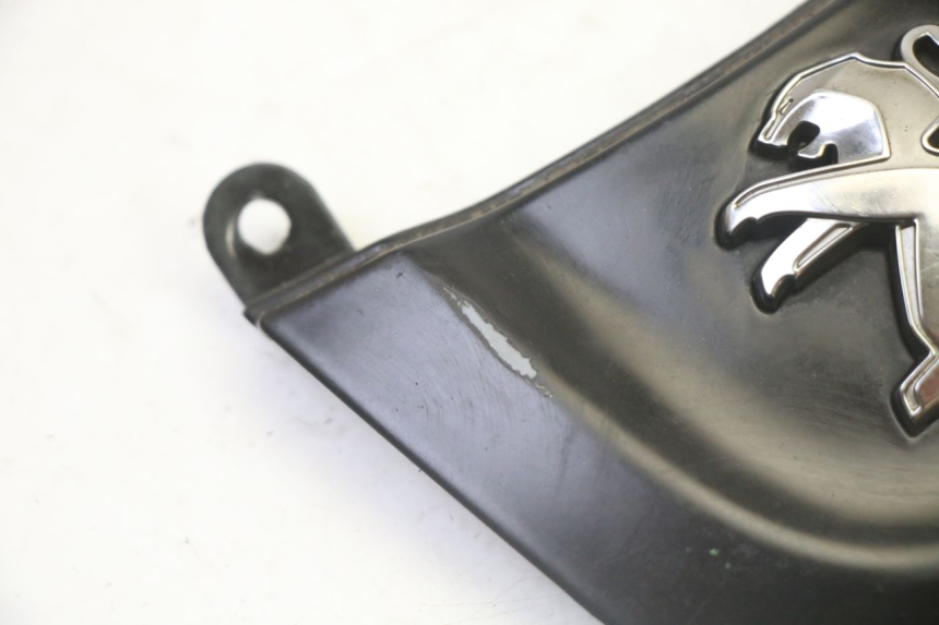 photo de CARENADO DELANTERO CONEXION PEUGEOT TWEET 4T 50 (2018 - 2022) - Detalle de la pieza