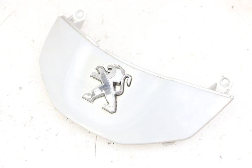 photo de CARENADO FRONTAL CONEXION PEUGEOT TWEET 4T 50 (2014 - 2019) - Vista principal