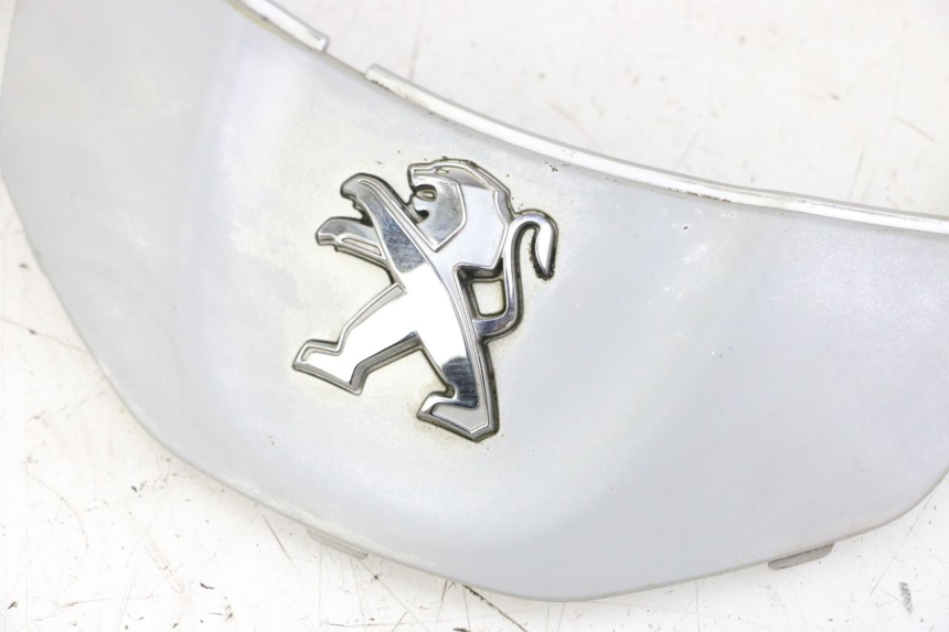 photo de CARENADO FRONTAL CONEXION PEUGEOT TWEET 4T 50 (2014 - 2019) - Detalle de la pieza