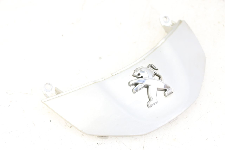 photo de CARENADO FRONTAL CONEXION PEUGEOT TWEET 4T 50 (2014 - 2019) - Primer plano técnico