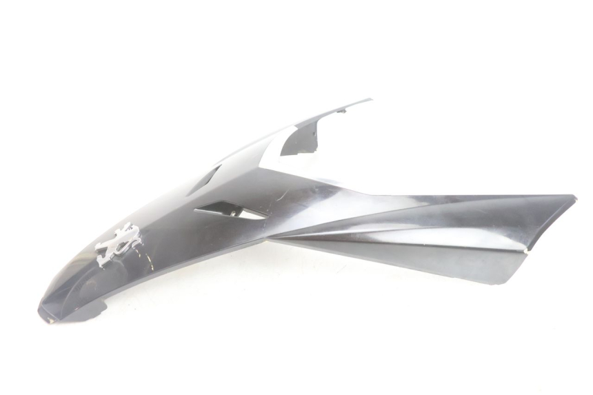 photo de CARENADO FRONTAL CONEXION PEUGEOT SATELIS 125 (2006 - 2009) - Primer plano técnico
