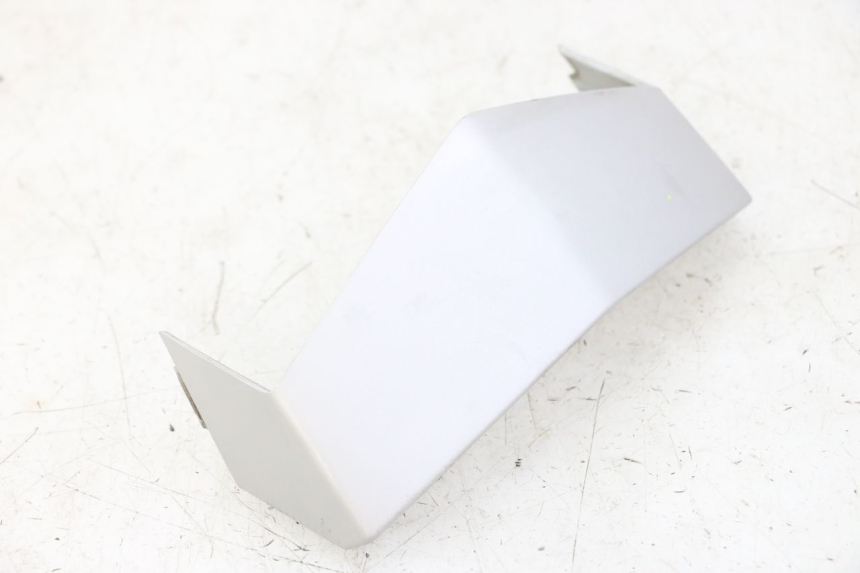 photo de CARENADO DELANTERO CONEXION PEUGEOT VIVACITY NEW 2T 50 (2008 - 2017) - Vista general del producto