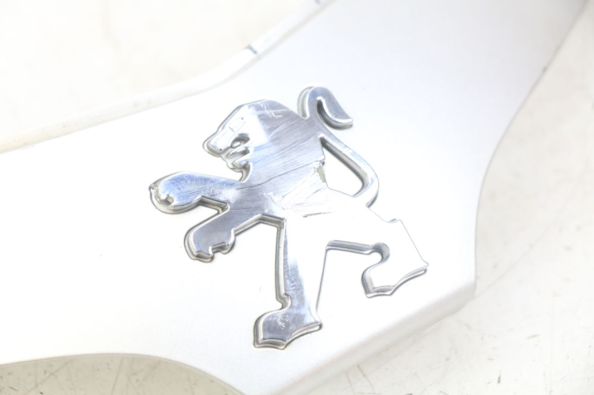 photo de JUNTA DE CARENAJE DELANTERO PEUGEOT TWEET 4T 50 (2010 - 2014) - Otra perspectiva