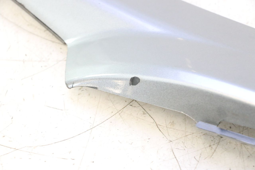 photo de TAPA REPOSAPIES CONEXION DERECHA GILERA GP 800 (2007 - 2013) - Vista general del producto