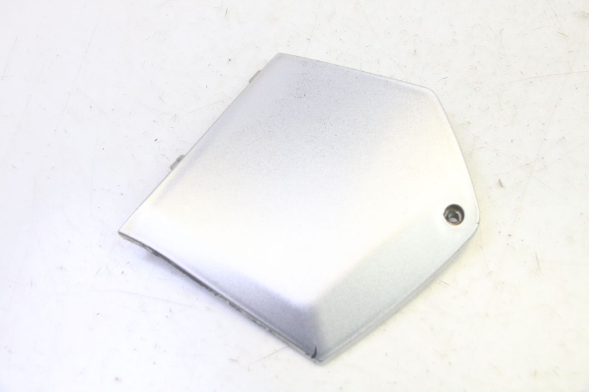 photo de TAPA REPOSAPIES CONEXION DERECHA PIAGGIO MP3 RL 250 (2006 - 2010) - Vista principal