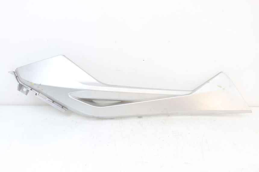 photo de TAPA REPOSAPIES CONEXION IZQUIERDA LONGJIA EASY MAX 125 (2020 - 2024) - Vista principal