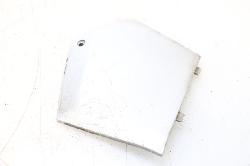 photo de TAPA REPOSAPIES CONEXION IZQUIERDA PIAGGIO MP3 RL 250 (2006 - 2010) - Vista principal