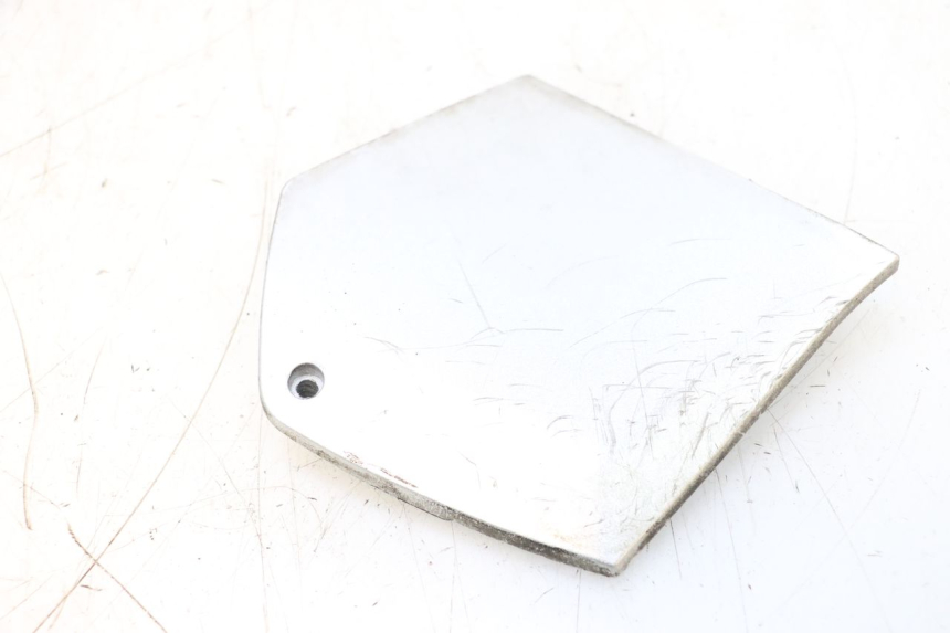 photo de TAPA REPOSAPIES CONEXION IZQUIERDA PIAGGIO MP3 RL 250 (2006 - 2010) - Otra perspectiva