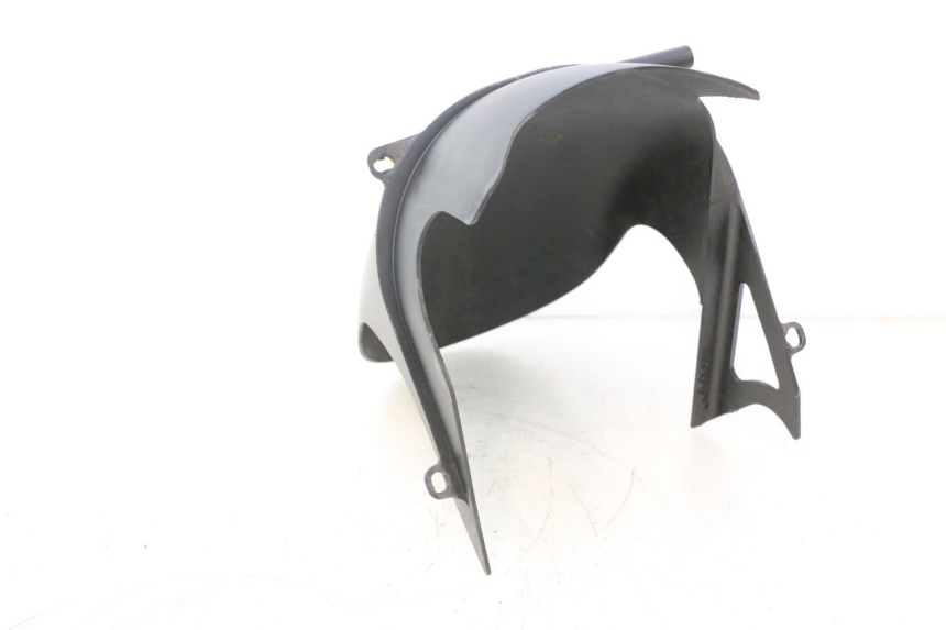 photo de GUARDABARROS DUCATI SS IE DS CARENEE 1000 (2002 - 2006) - Primer plano técnico