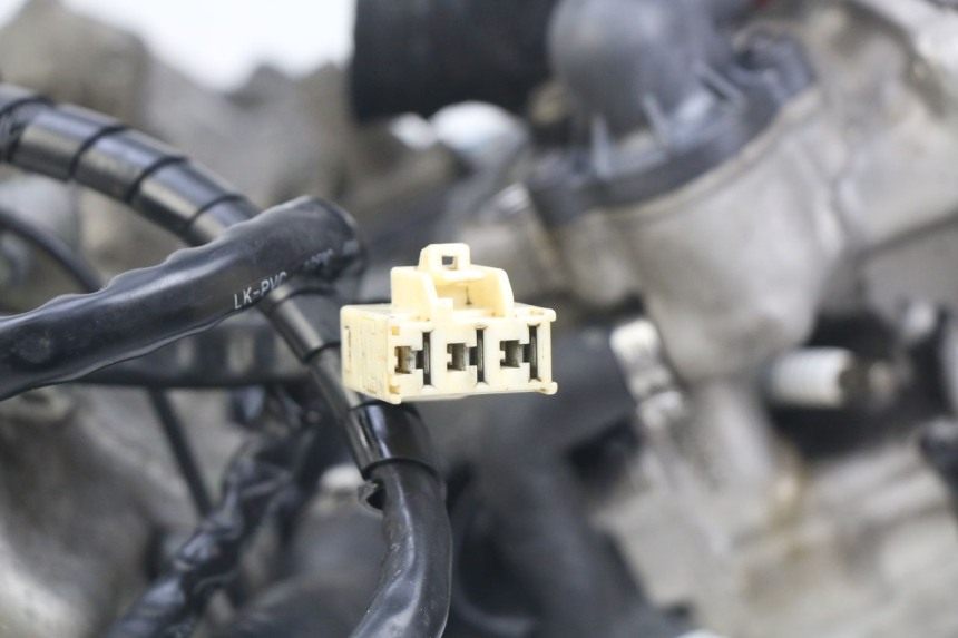 photo de MOTOR PIAGGIO BEVERLY 125 (2010 - 2015) - Recambio usado revisado