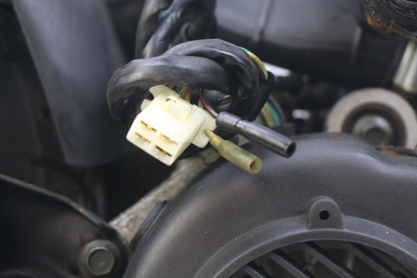 photo de MOTOR WILDLANDER BISCUIT 125 (2004 - 2010) - Características distintivas