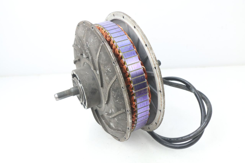 photo de MOTOR ERIDER CARGO 1 (2009 - 2018) - Detalle de la pieza