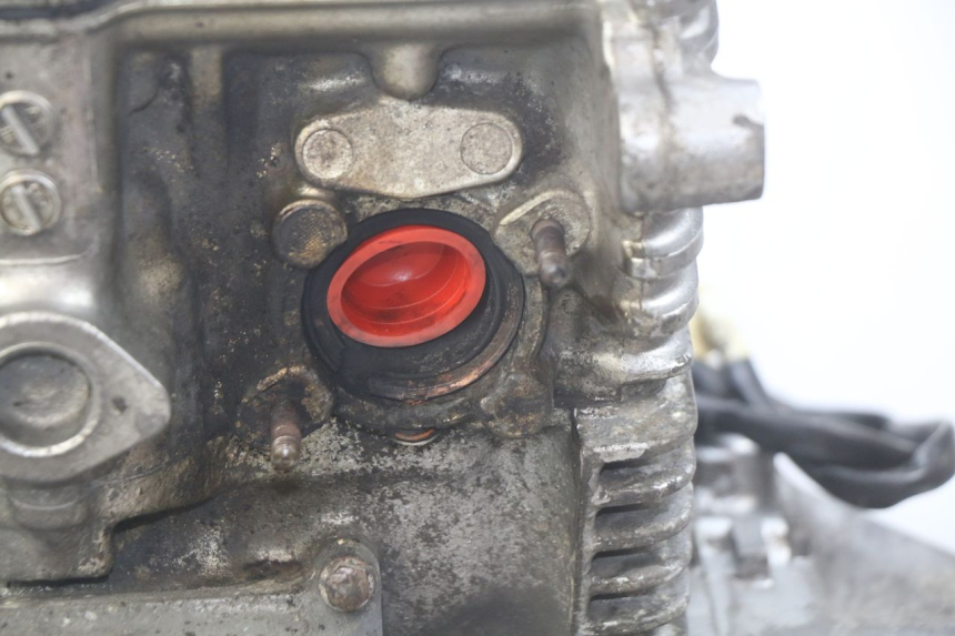 photo de MOTOR HONDA CB 500 (1997 - 2003) - Primer plano técnico