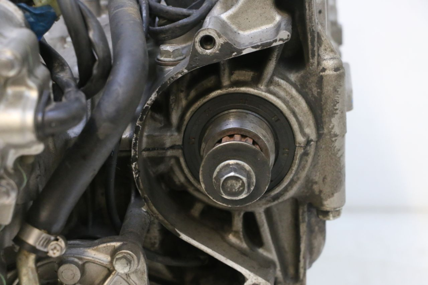 photo de MOTOR HONDA CB F HORNET 600 (2005 - 2006) - Primer plano de alta resolución