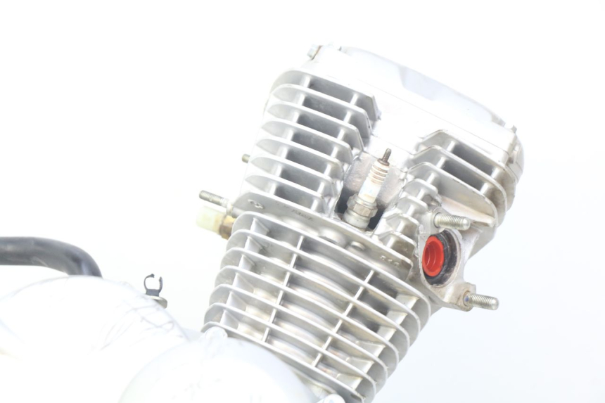 photo de MOTOR HONDA CRF CR-F 125 (2022 - 2023) - Características distintivas