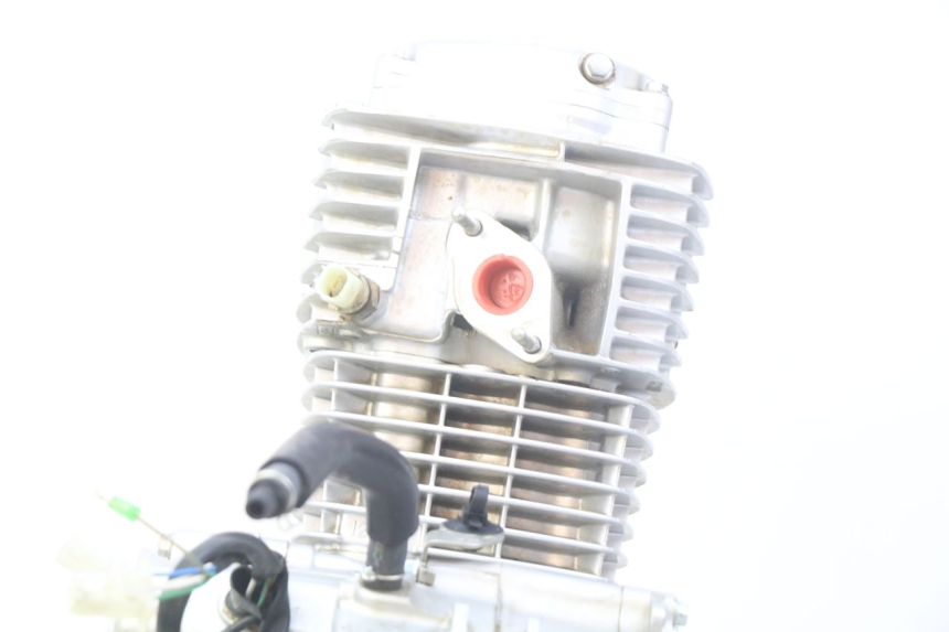 photo de MOTOR HONDA CRF CR-F 125 (2022 - 2023) - Primer plano de alta resolución