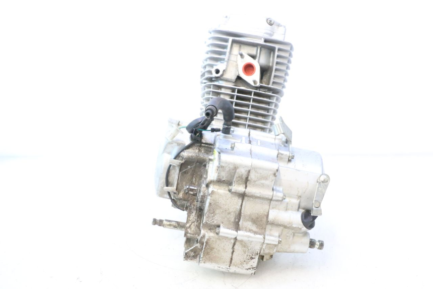 photo de MOTOR HONDA CRF CR-F 125 (2020 - 2021) - Enfoque en la estructura