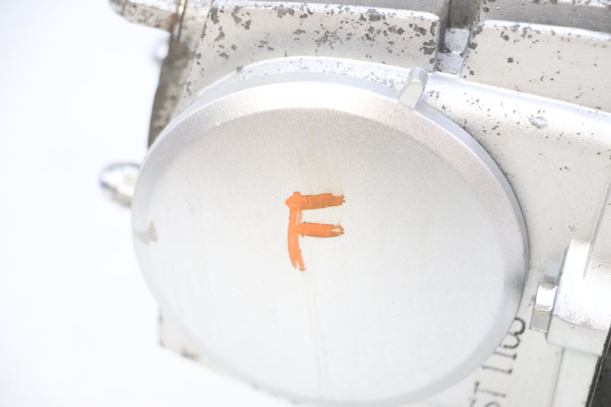 photo de MOTOR SKYTEAM DAX REPLICA 110 (2005 - 2015) - Zoom sobre los componentes