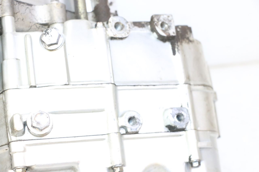 photo de MOTOR SKYTEAM DAX REPLICA 110 (2005 - 2015) - Enfoque en la estructura