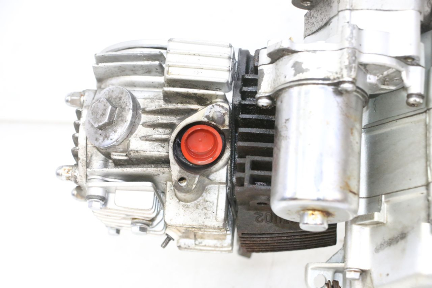 photo de MOTOR SKYTEAM DAX REPLICA 110 (2005 - 2015) - Ángulo de visión alternativo