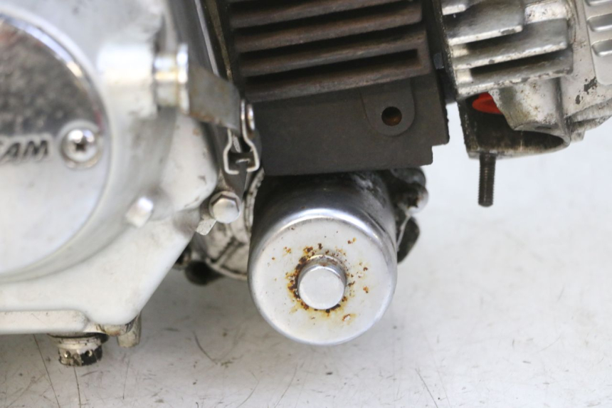 photo de MOTOR SKYTEAM DAX REPLICA 110 (2005 - 2015) - Primer plano técnico