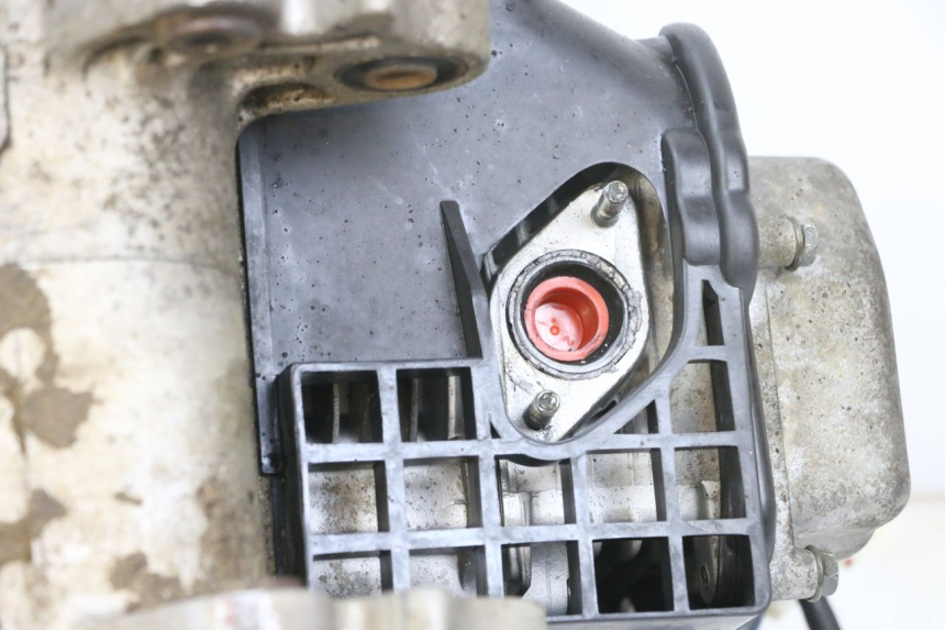 photo de MOTOR LONGJIA DIGITA 4T 50 (2019 - 2022) - Zoom estado de uso