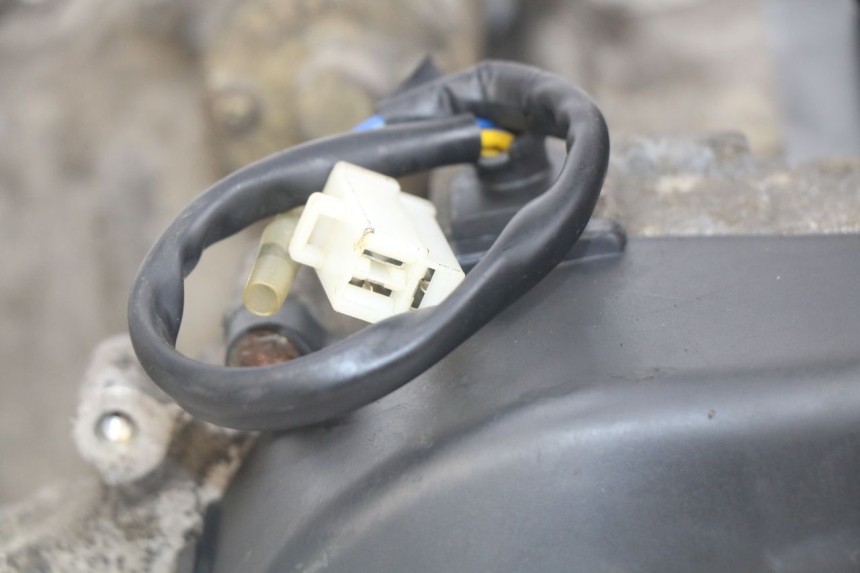 photo de MOTOR PEUGEOT DJANGO 4T 50 (2014 - 2019) - Recambio usado revisado