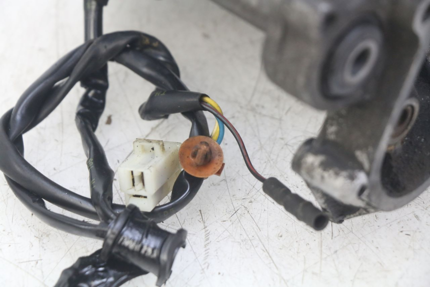 photo de MOTOR PEUGEOT ELYSTAR 50 (2002 - 2014) - Zoom sobre los componentes