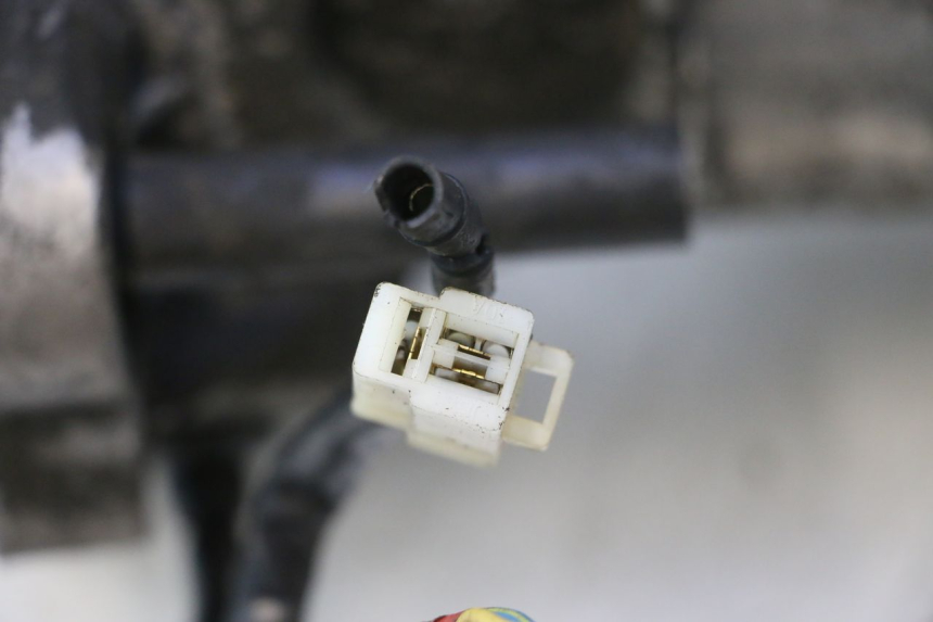 photo de MOTOR PEUGEOT ELYSTAR 50 (2002 - 2014) - Ángulo de visión alternativo