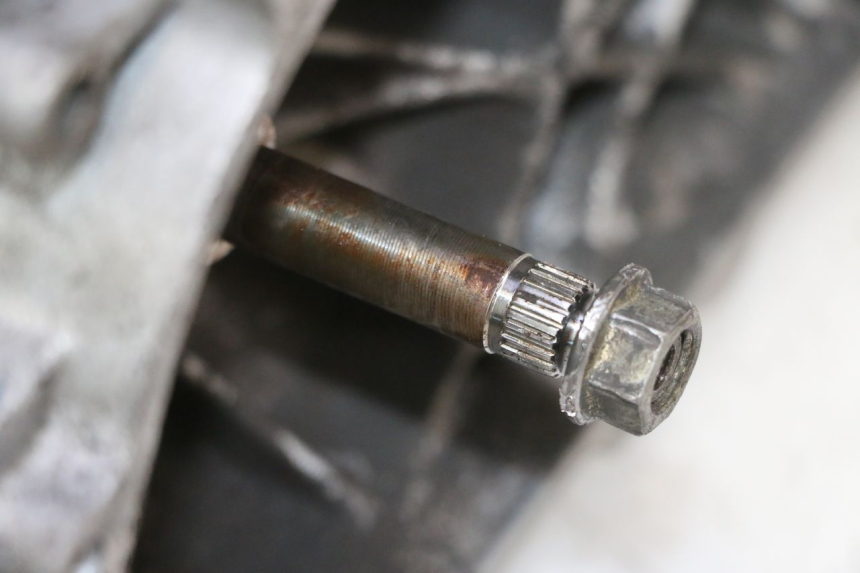 photo de MOTOR PEUGEOT ELYSTAR 50 (2002 - 2014) - Zoom estado de uso