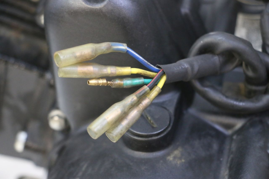 photo de MOTOR STAHO FH 50 (2018 - 2019) - Características distintivas