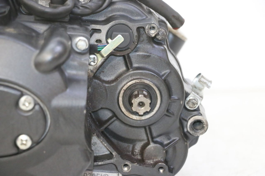 photo de MOTOR STAHO FH 50 (2018 - 2019) - Primer plano de alta resolución