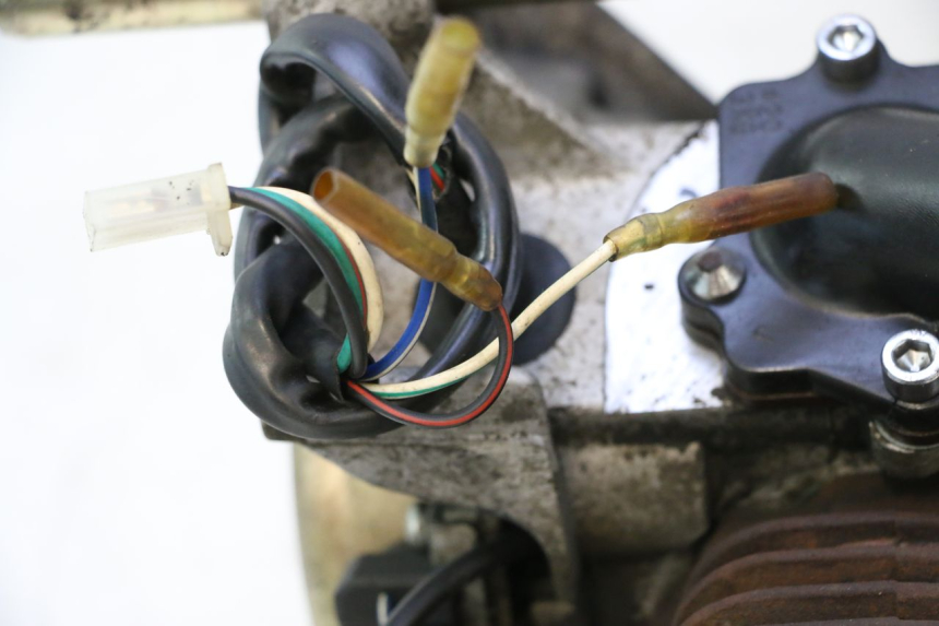 photo de MOTOR KEEWAY FOCUS 50 (2006 - 2009) - Primer plano de alta resolución