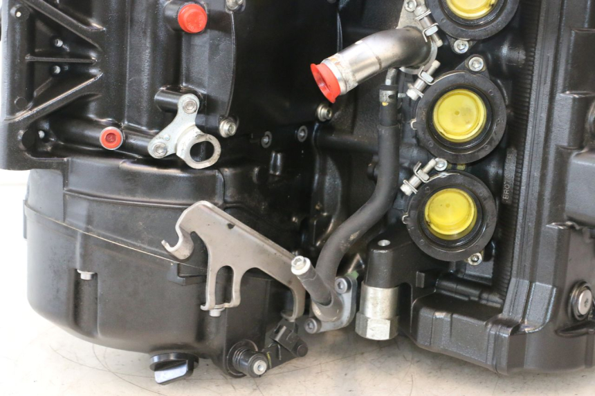 photo de MOTOR YAMAHA FZ8 800 (2010 - 2016) - Zoom sobre los componentes