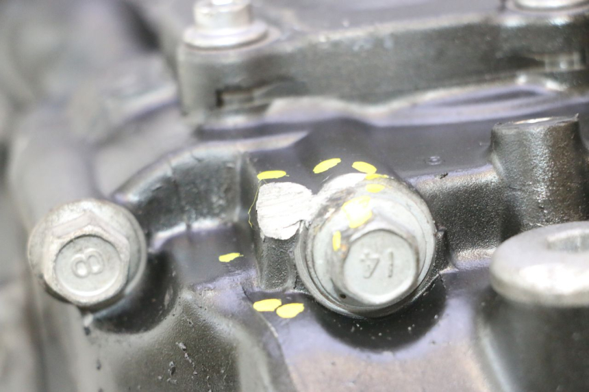 photo de MOTOR YAMAHA FZ8 800 (2010 - 2016) - Estado de la superficie y material