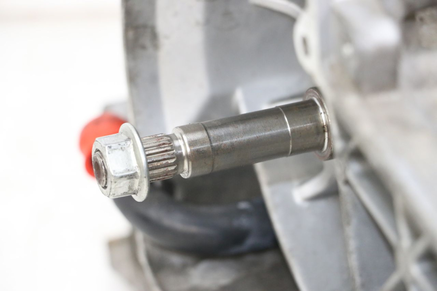 photo de MOTOR PEUGEOT GEOPOLIS RS 125 (2007 - 2009) - Primer plano técnico