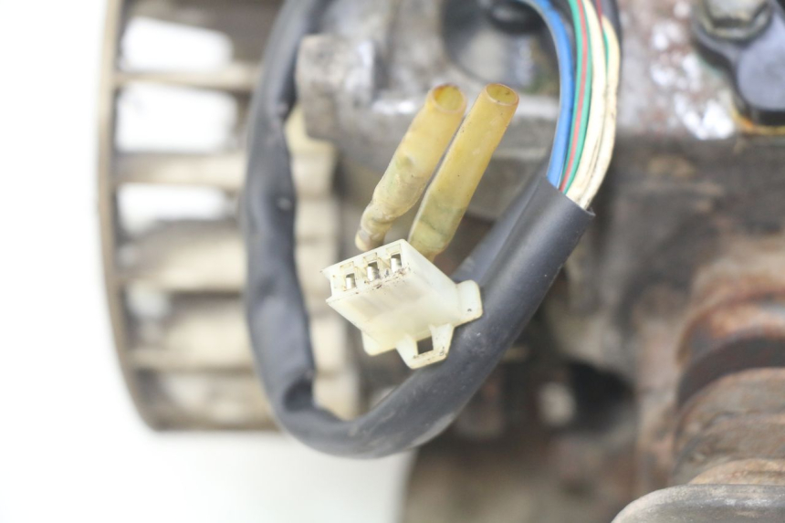 photo de MOTOR TNT MOTOR GRIDO 2T 50 (2010 - 2019) - Zoom sobre los componentes